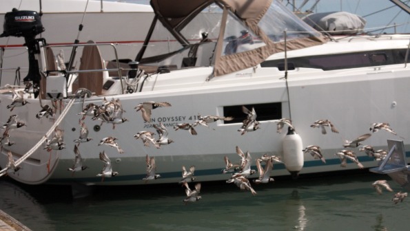 A Paradise for Bird Watchers