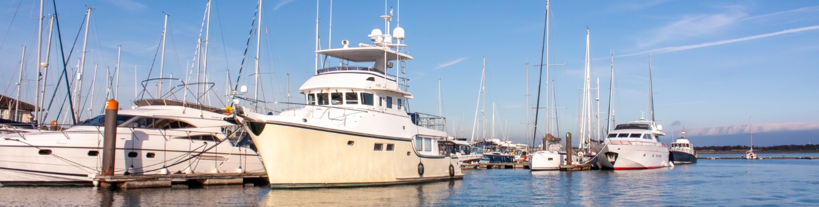Malahide Marina news