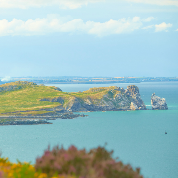 Ireland's Eye — placeholder photo, replace with your own